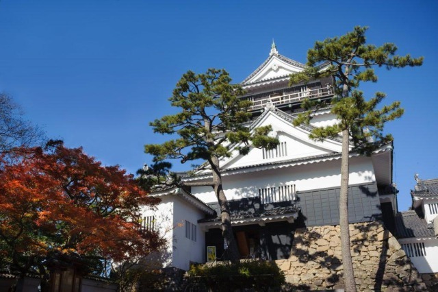 岡崎古着屋 コラム画像3